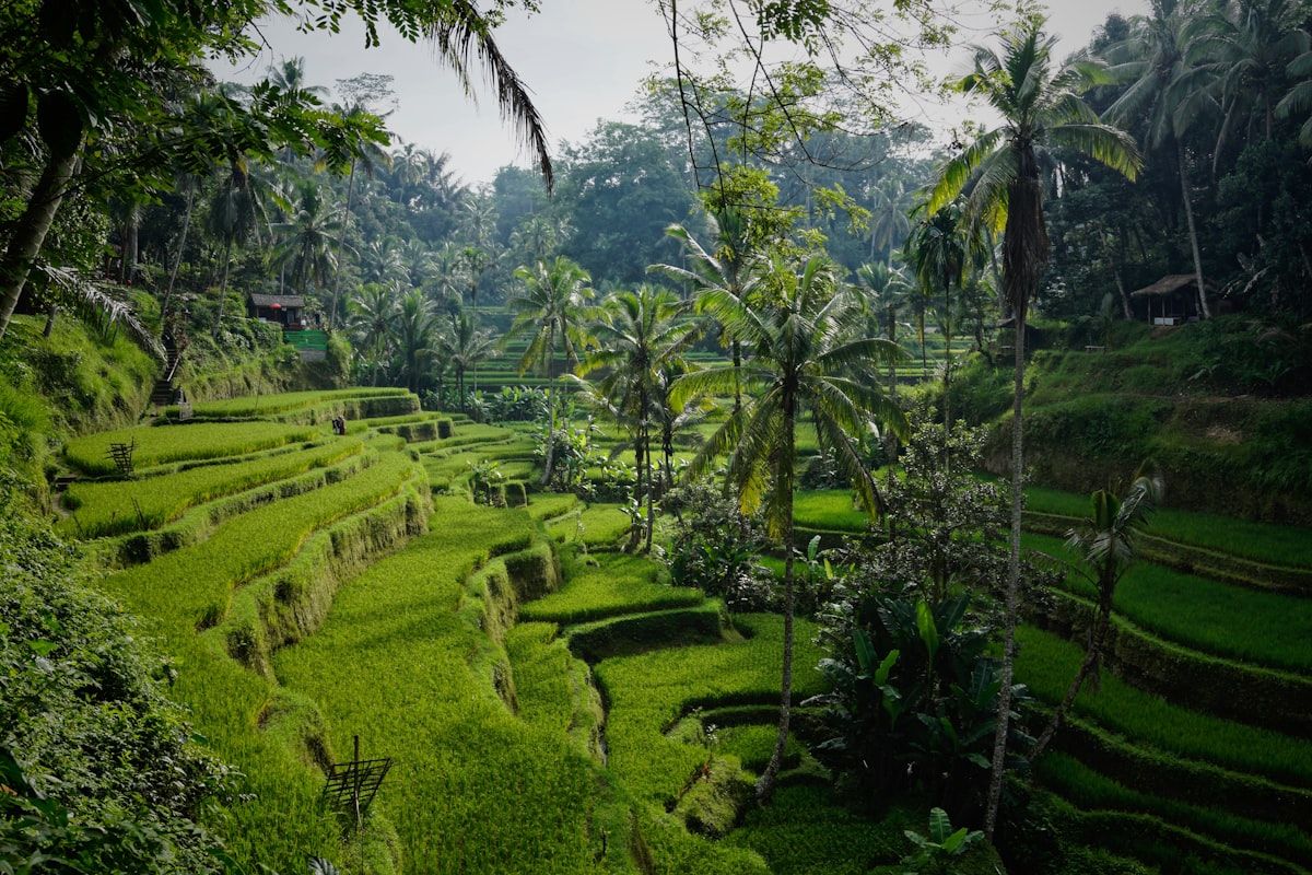 Tanah Lot Tapınağı