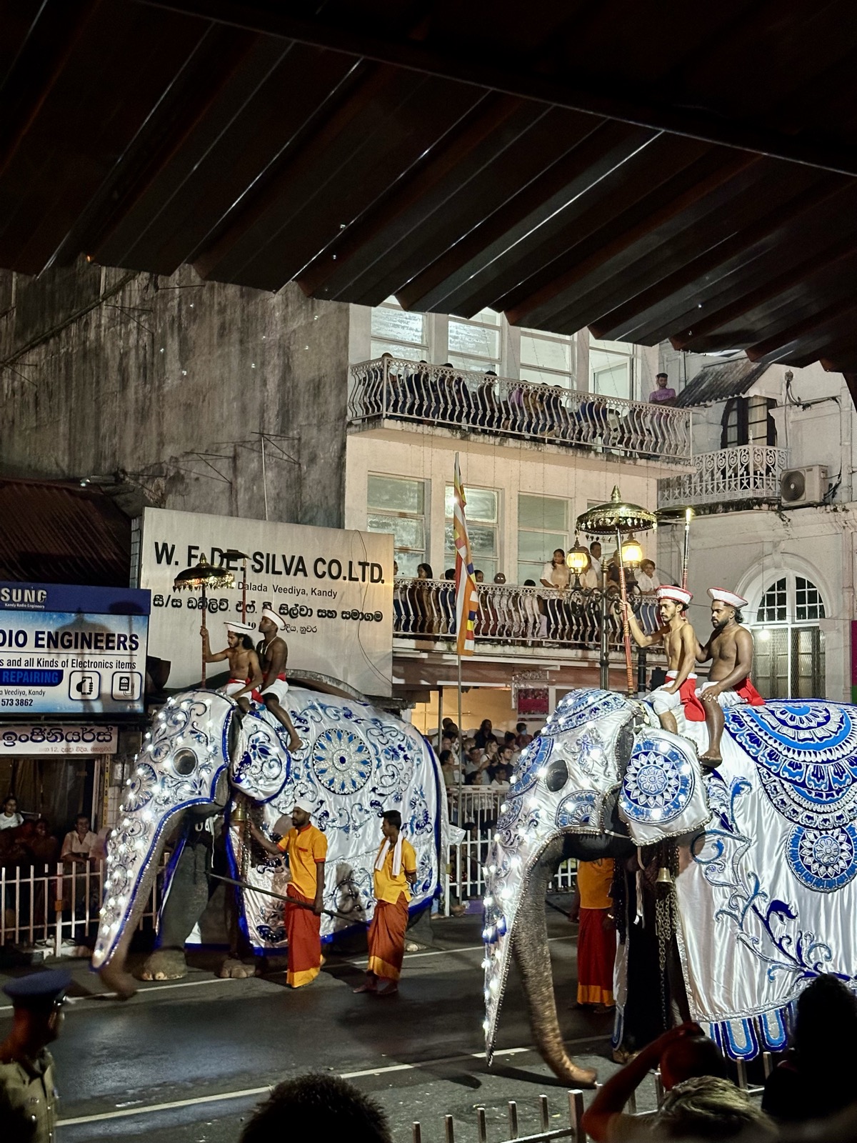 Sri Lanka fil töreni
