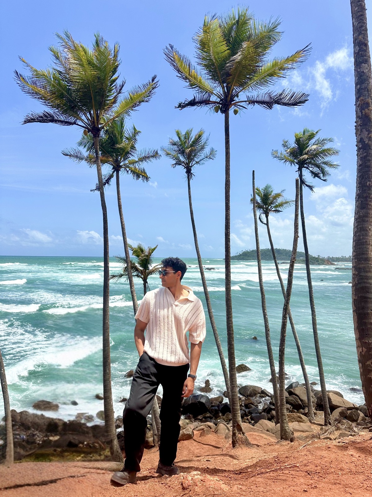 Sri Lanka palmiye sahil